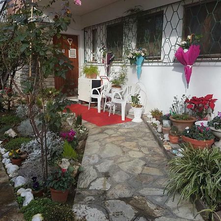 B&B Gioia 피사 외부 사진