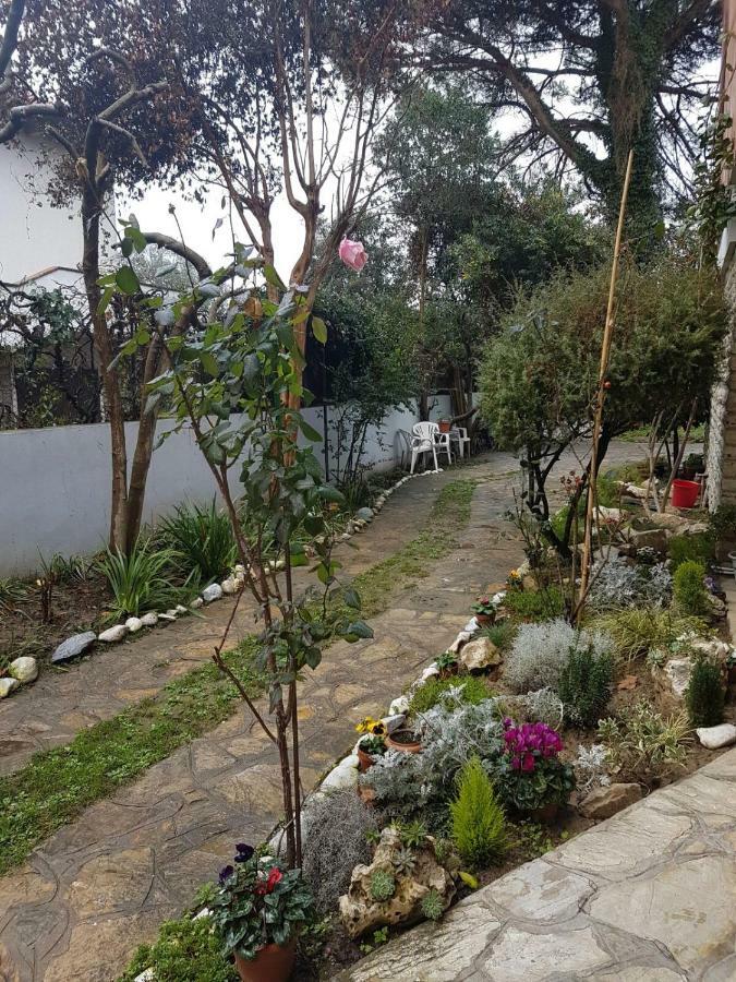 B&B Gioia 피사 외부 사진