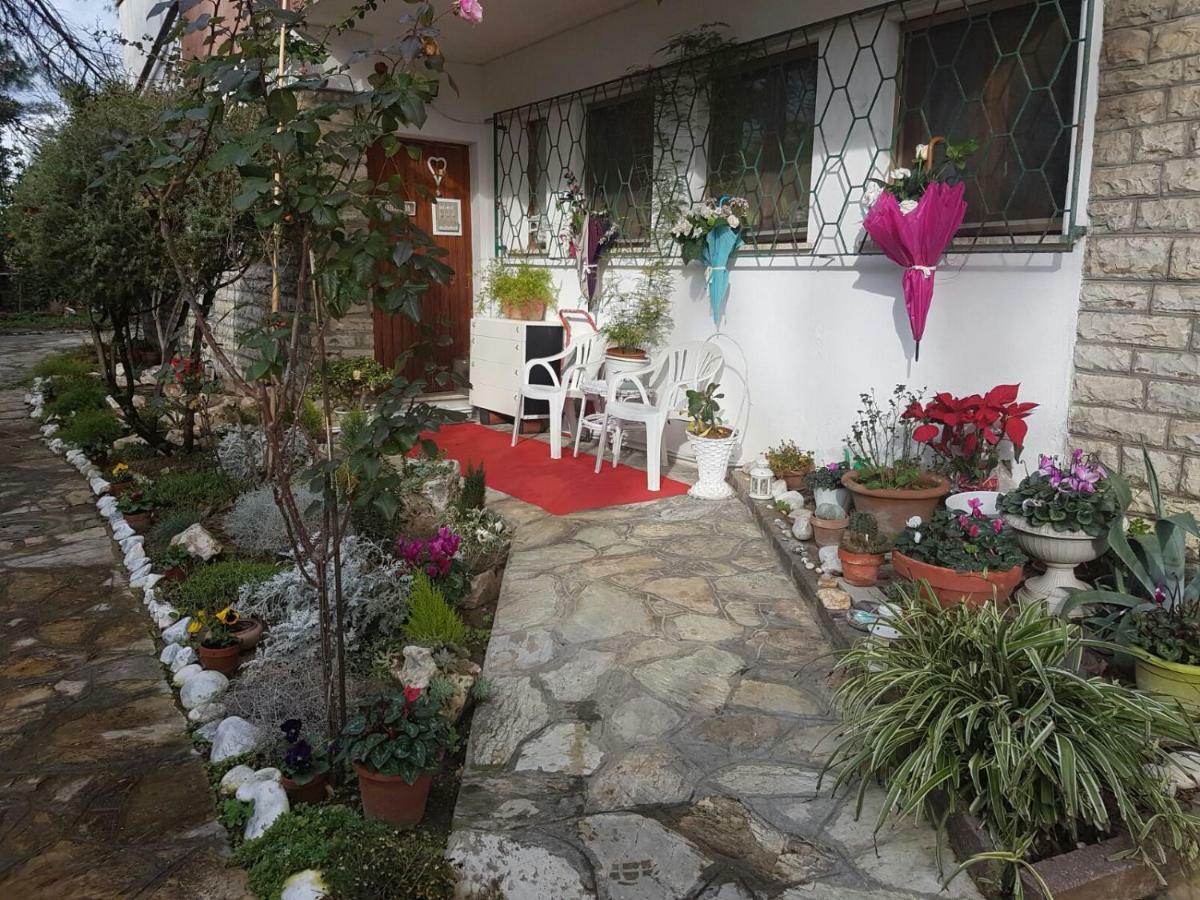 B&B Gioia 피사 외부 사진