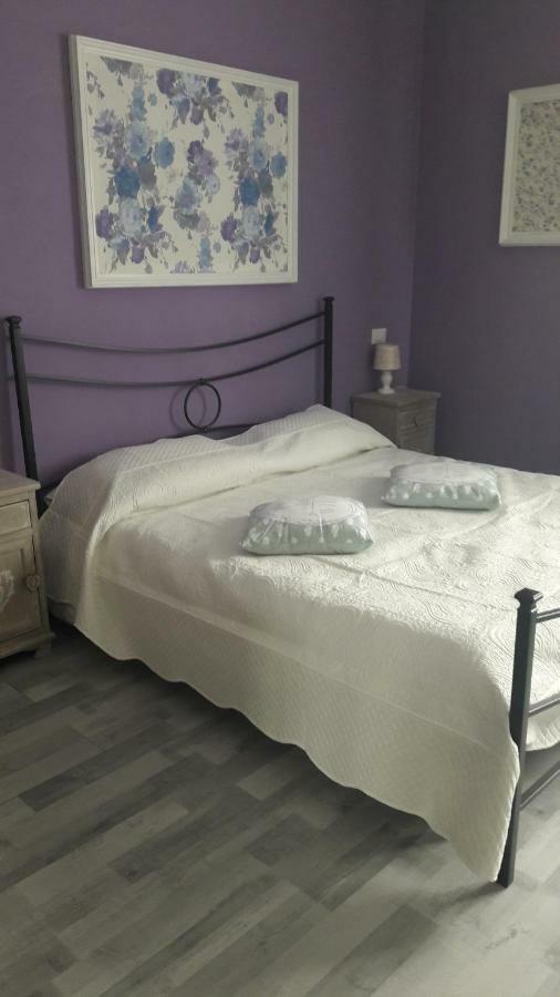 B&B Gioia 피사 외부 사진
