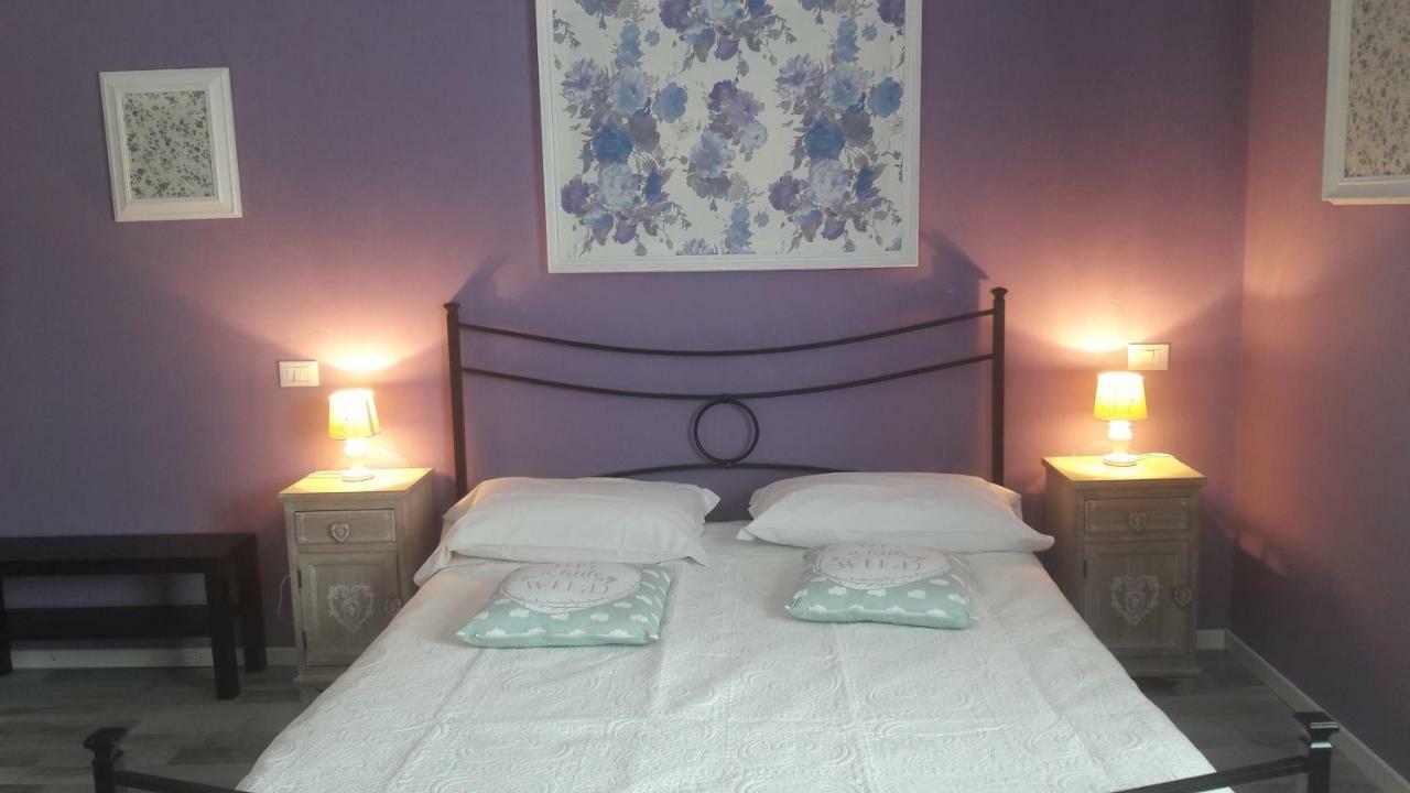 B&B Gioia 피사 외부 사진